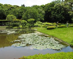 Giardini imperiali a Tokyo