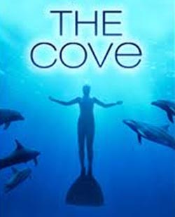 The Cove