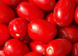 Pomodori pelati