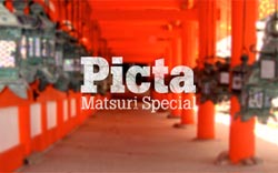 Picta Matsuri